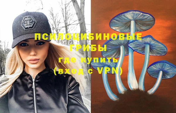 марки nbome Новозыбков