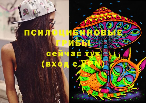 гидропоника Новокубанск
