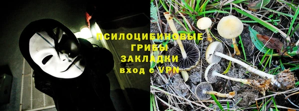 крисы Нефтекумск