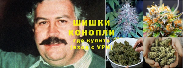 ECSTASY Новодвинск