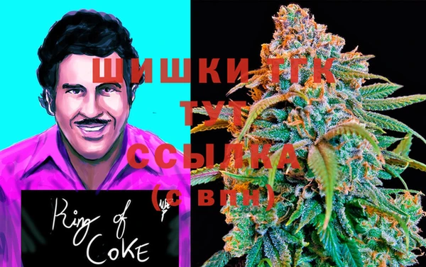 гидропоника Новокубанск