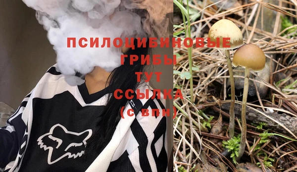 стафф Нефтегорск