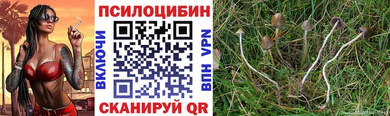 Псилоцибиновые грибы мухоморы  Богородск 