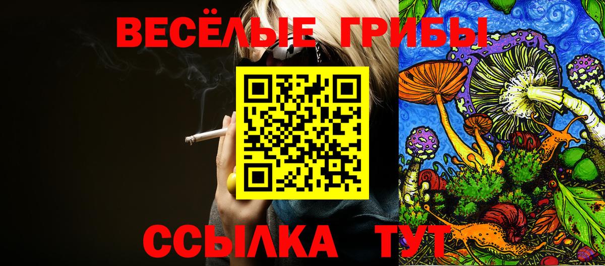 Галлюциногенные грибы ЛСД Богородск