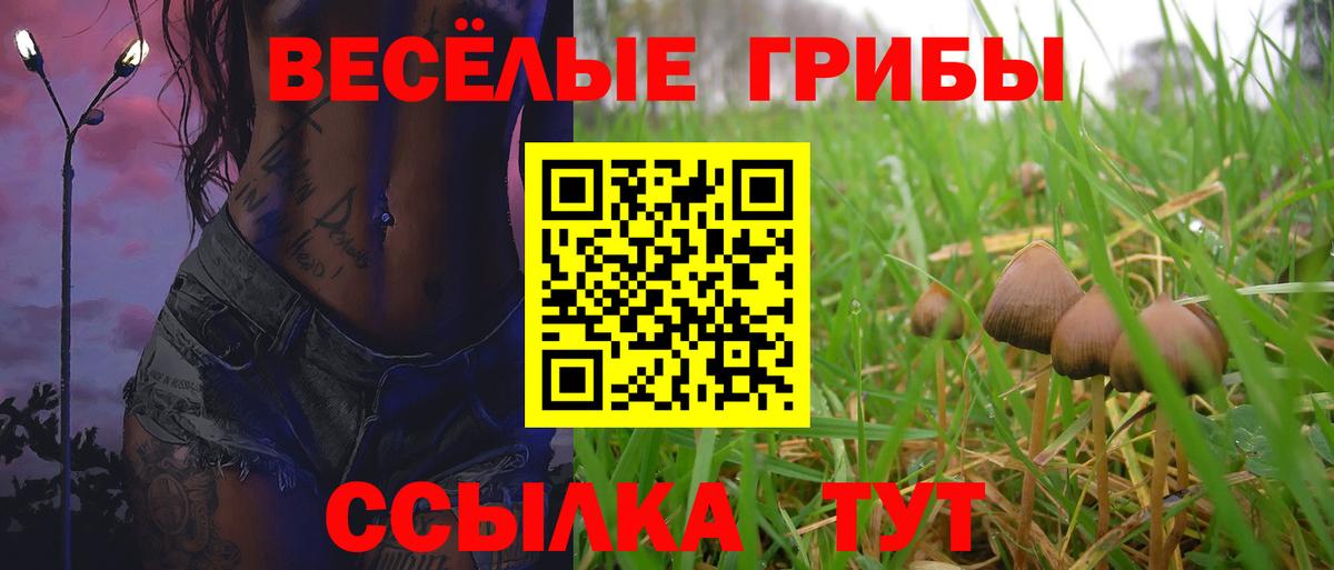 Псилоцибиновые грибы GOLDEN TEACHER  Псилоцибиновые грибы Psilocybine cubensis  Вход с VPN  Богородск 