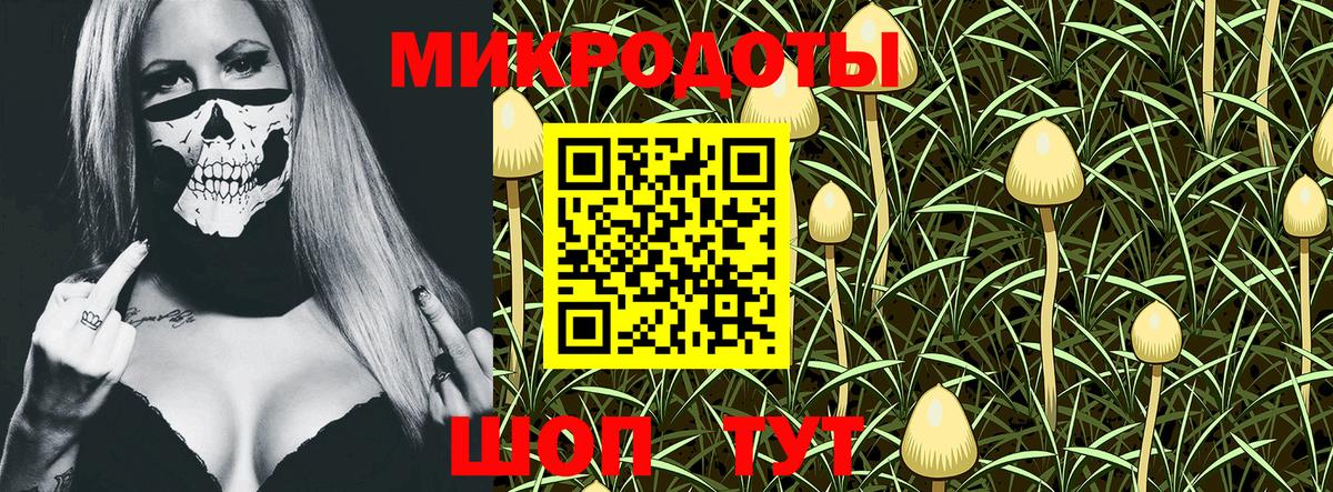 Галлюциногенные грибы GOLDEN TEACHER Богородск